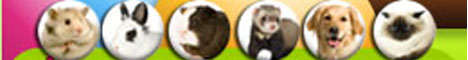 Animalis - Produits & Accessoires chien animaux rongeurs
